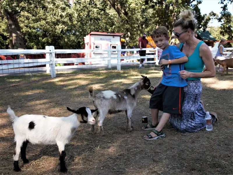 Read more about the article Fall Festival 2022 at Sonny Acres Farm