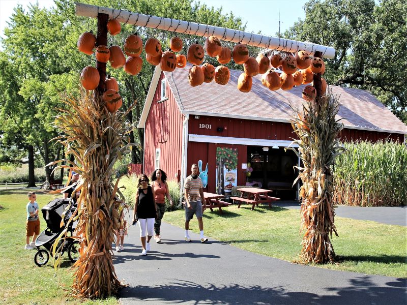 Sonny Acres Farm West Chicago IL 60185