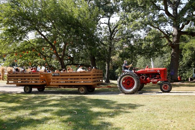 Daytime Wagon Rides at Sonny Acres Farm, West Chicago IL