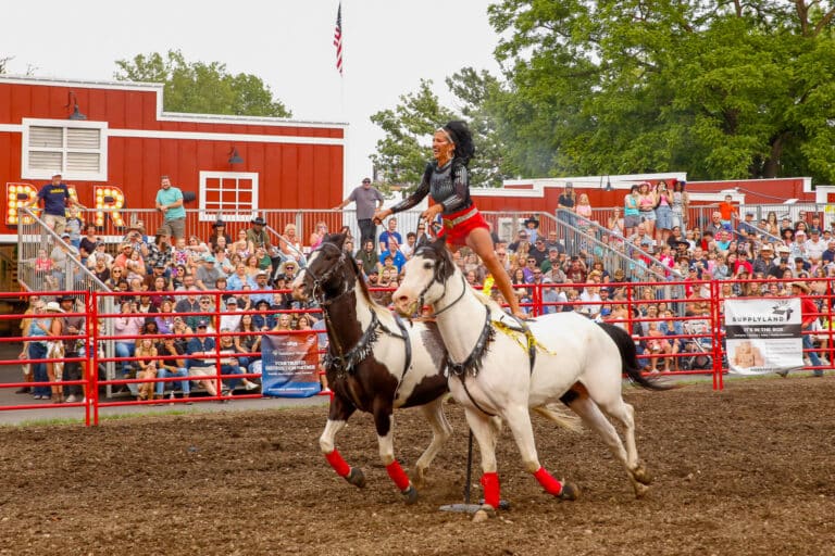 Read more about the article Thank You for Making the 2nd Annual Rodeo at Sonny Acres Farm a Complete Success!