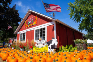 Read more about the article Discover the Magic of Fall at Sonny Acres Farm!