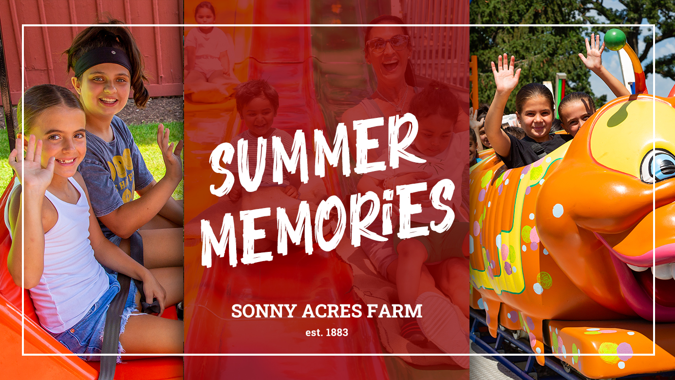 Read more about the article Make Summer Memories at Sonny Acres Farm