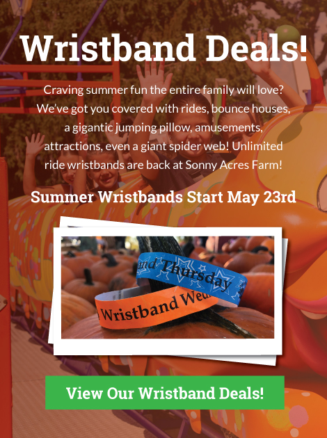 Sonny Acres Wristbands 2026 - 2 Sonny Acres Wristbands 2026 - 2