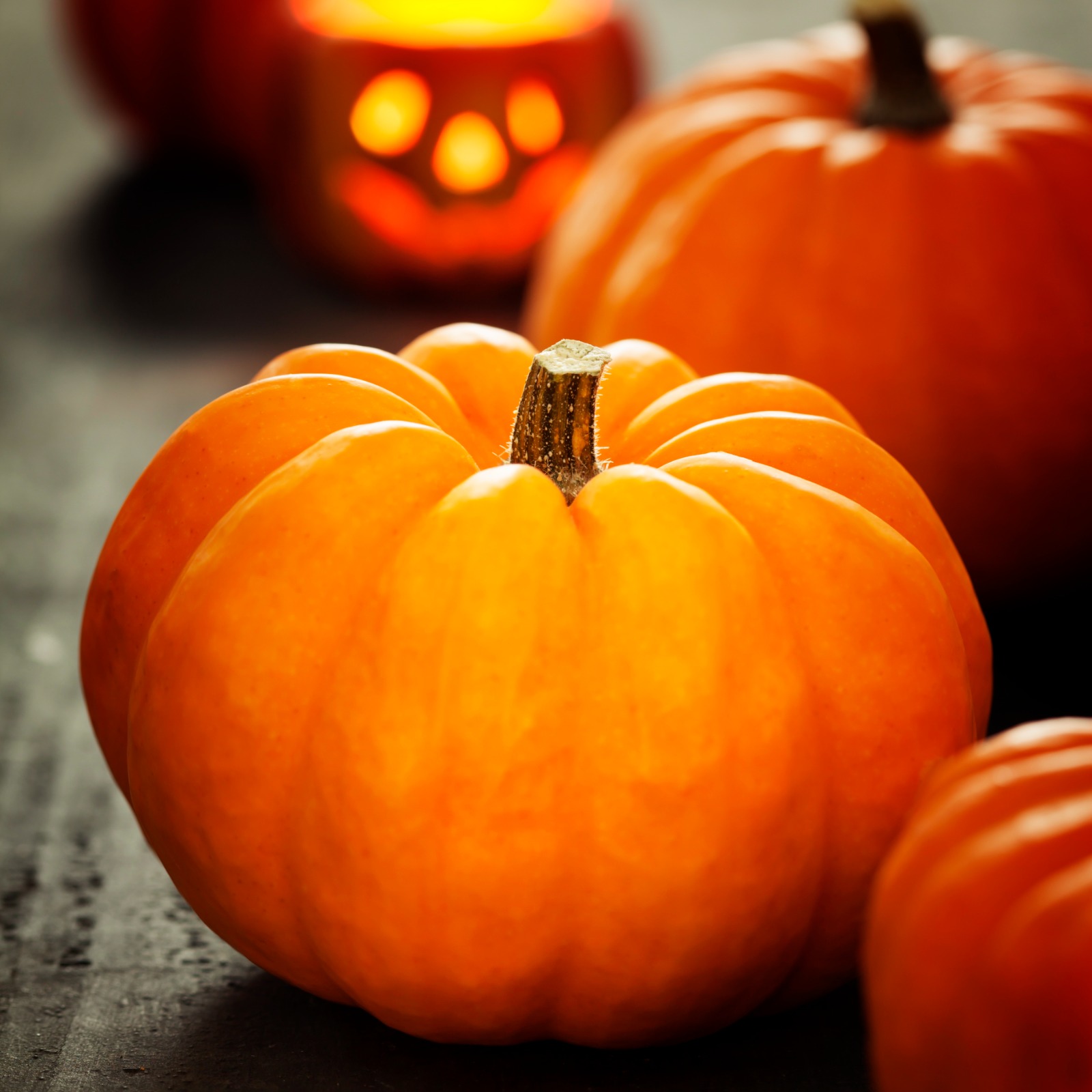 Large Pumpkin