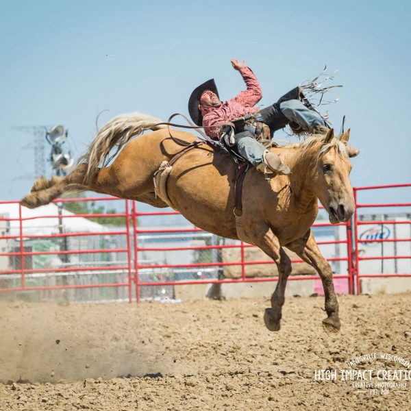 West Chicago Rodeo | The Pro Rodeo in Chicago